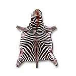 Zebra Skin Rugs - Wildlife Etc LLC