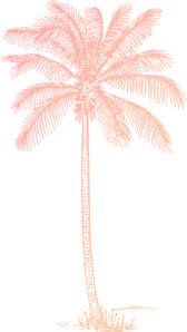 png white palm tree - Clip Art Library