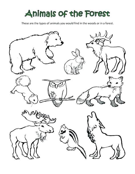 Forest Animals Coloring Pages at GetColorings.com | Free printable ...