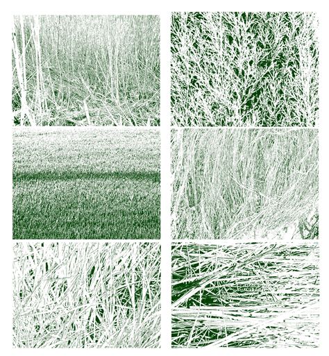 14 Grass Texture Brushes Photoshop Brushes photoshop brushes | Etsy