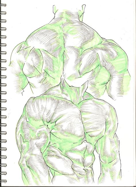 Anime Back Muscles Reference - Comic Art Reference, Human Arm Muscles ...