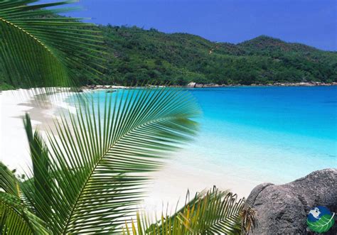 Nosara Costa Rica - A beach and international community