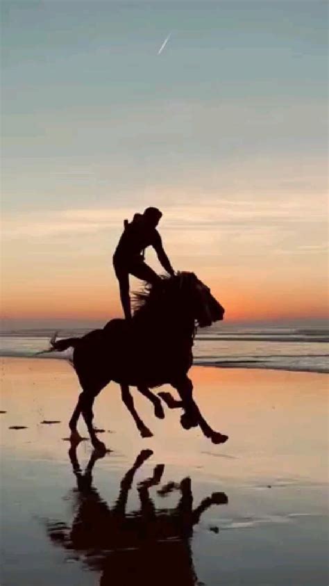 Horse in the beach beautiful sunset – Artofit