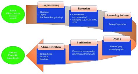 Typical steps associated with phenolic extraction from olive leaves ...