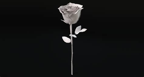 rose 3d model