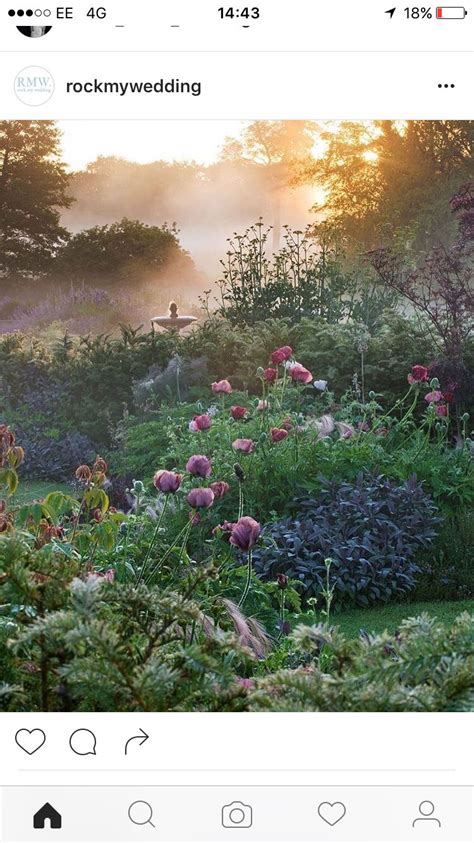 Sunrise garden photography 👍 | Dreamy garden, Beautiful flowers garden ...