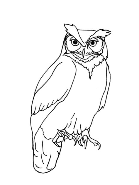 Owl outline for nursery wall | Cute owl drawing, Owl outline, Owl ...