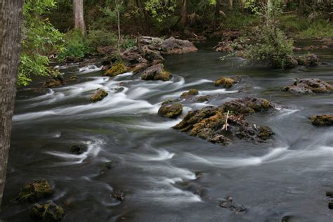 Splendor of the Hillsborough River | Florida State Parks