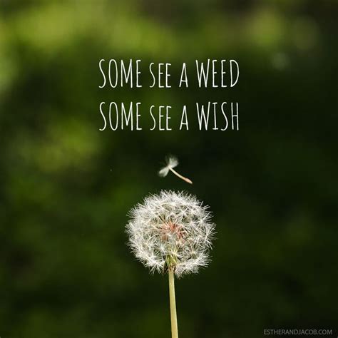 Quotes From Weeds. QuotesGram