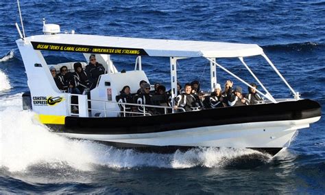 2HR Mooloolaba Whale Watching Experience (June - Oct) - Adventure ...