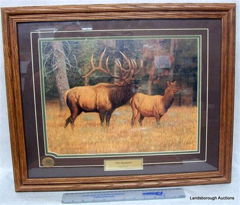 FRAMED WILDLIFE PRINTS