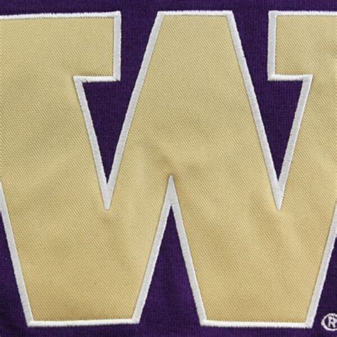 Women's Washington Huskies Purple Big Logo Pullover Hoodie | University ...