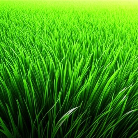 Premium AI Image | Green grass background or artificial grass soccer ...