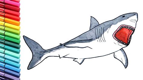 Megalodon Shark Drawing at GetDrawings | Free download