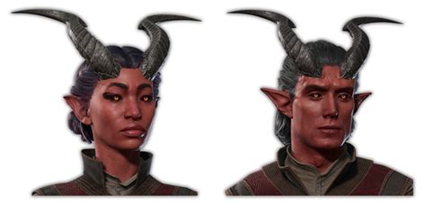 File:Asmodeus Tiefling Default Portrait.png - Baldur's Gate 3 Wiki