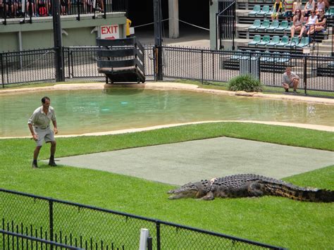 Miss Thibault's Teacher Exchange Adventure: Steve Irwin Zoo north of Brisbane