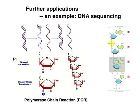 PPT - A. Modes of separation capillary electrophoresis PowerPoint ...