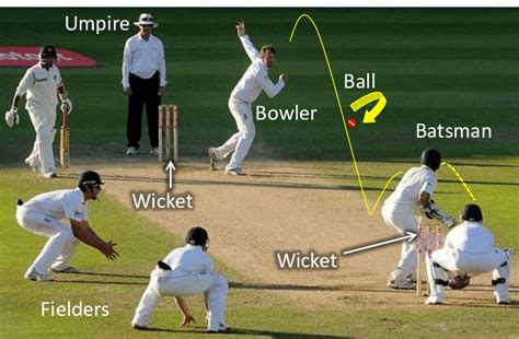 Cricket in action. Two sets of wickets placed at the bowler's and... | Download Scientific Diagram