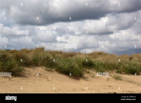 Studland beach hi-res stock photography and images - Alamy