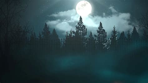 Halloween Background Animation With Forest Stock Motion Graphics SBV ...