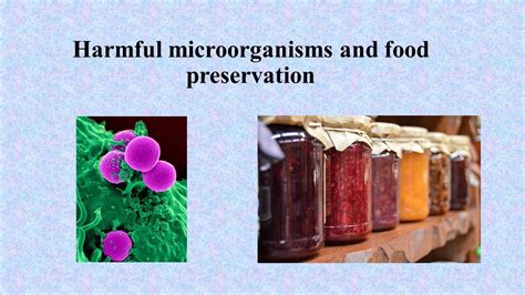 What are harmful microorganisms? What is food preservation? - YouTube