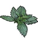 File:Nettle big.png - Fear & Hunger Wiki