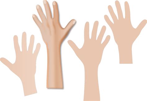 Four Hands Reaching Up transparent PNG - StickPNG