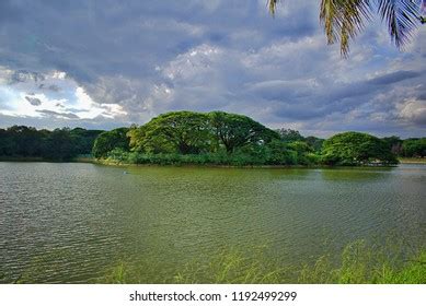 100 Lalbagh Lake Images, Stock Photos, 3D objects, & Vectors | Shutterstock