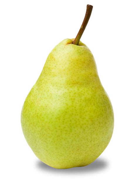 Asian pear Bosc pear Flavor Light - others png download - 600*800 ...