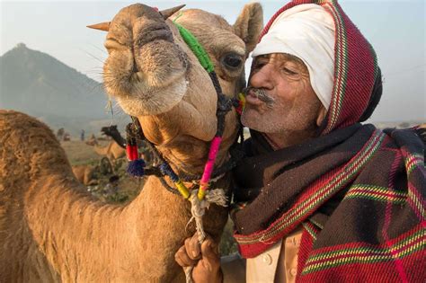 Pushkar Camel Fair Photography Tour - Travelshooters