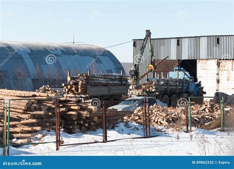 Loader Loads the Logs into a Truck Timber Stock Photo - Image of moving, loads: 89062332