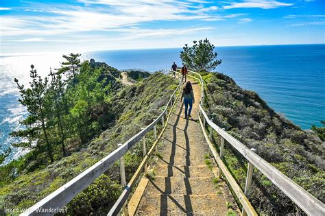 Muir Beach Overlook: A Breathtaking View of The Pacific Ocean — Inked ...