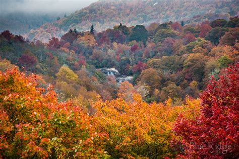 Fall Foliage 2022 Forecast and Guide - Blue Ridge Mountain Life