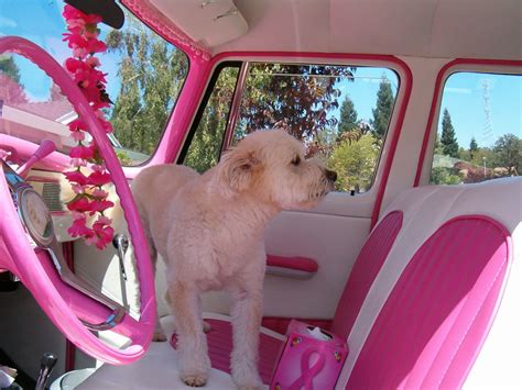 Free Images : car, retro, flower, interior, cute, pet, ride, decor, feminine, seats, pink and ...