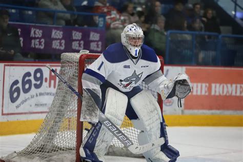 Sabres prospect Ukko-Pekka Luukkonen named OHL's top goalie | Buffalo ...