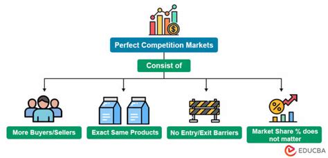 Perfect Competition Definition | Examples, Characteristics & Graph