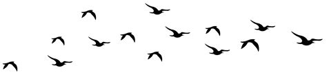 Free Flying Bird Silhouette Png, Download Free Flying Bird Silhouette ...