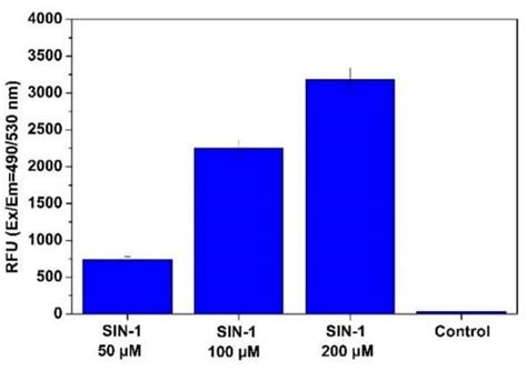 Peroxynitrite Assay Kit (Cell-based) (ab233468) | Abcam