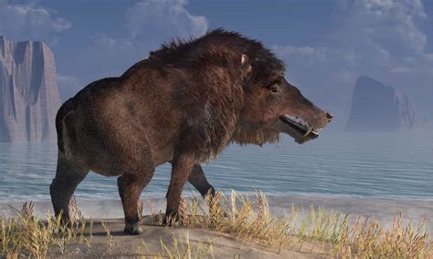 The Largest Prehistoric “Pig” Was Taller Than a Horse - AZ Animals