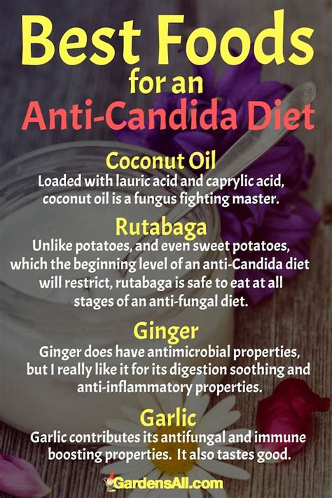 Natural Antifungal Herb Remedies for Candida | Natural antifungal, Anti candida diet, Antifungal ...