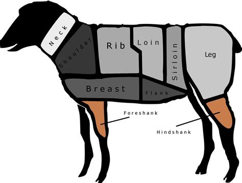 On the Lamb: A Chart of the Major Cuts From Leg to Loin