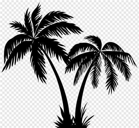 Silhouette Arecaceae, Palms Silhouette free png | Palm tree silhouette, Palm tree artwork, Palm ...