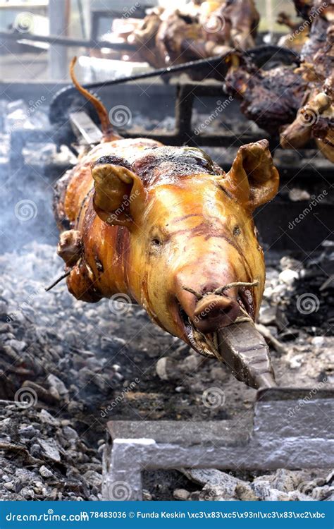 Whole Carcass of a Pig Roasting on the Grill Stock Photo - Image of dead, holidays: 78483036