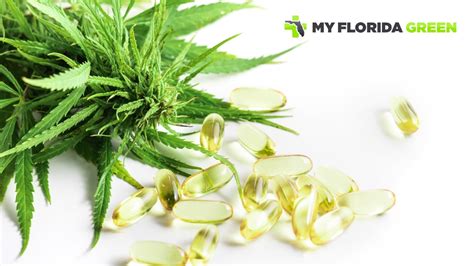 How can Medical Cannabis help with Epilepsy? - My Florida Green