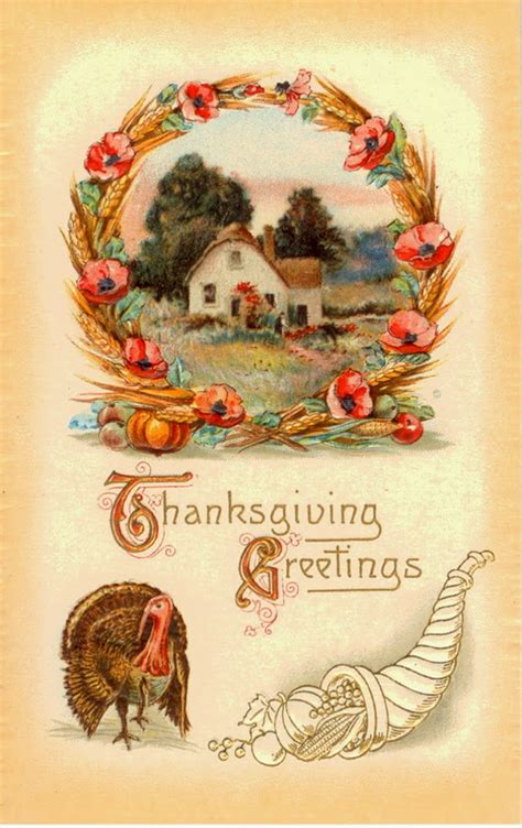 25 Colorful Vintage Thanksgiving Turkey Postcards ~ Vintage Everyday