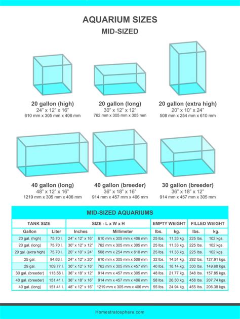 Fish Tank Sizes (Charts & Tables)