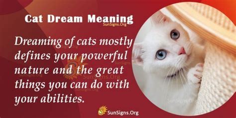 Dreaming Of A Cat - Meaning, Interpretation and Symbolism - SunSigns.Org