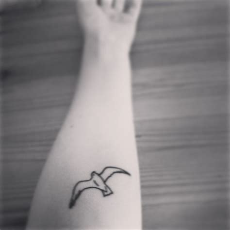 Seagull Tattoos