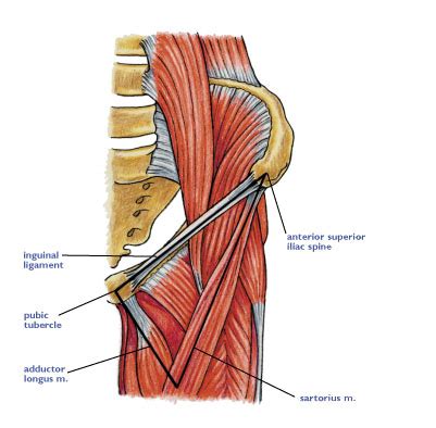 Inguinal Ligament Pain - CoreWalking