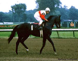 Ruffian: Racing's Greatest Filly! ~ Thoroughbred Greats